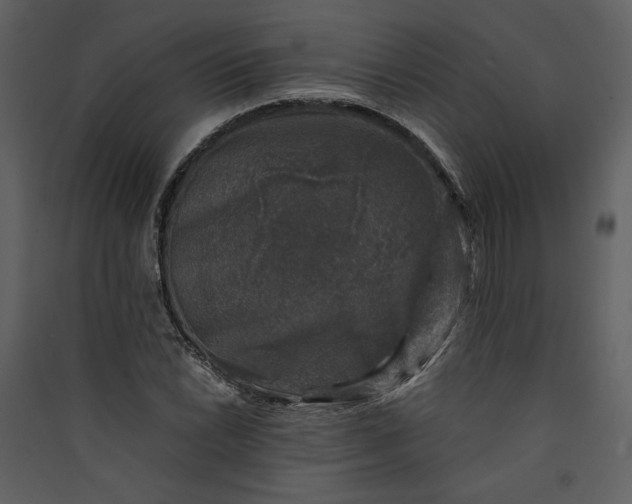 X0000089921022200707131406