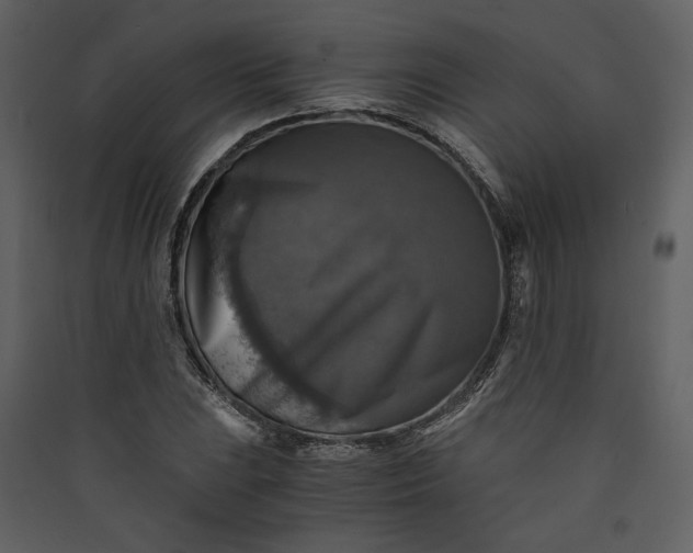 X0000089921023200707131406