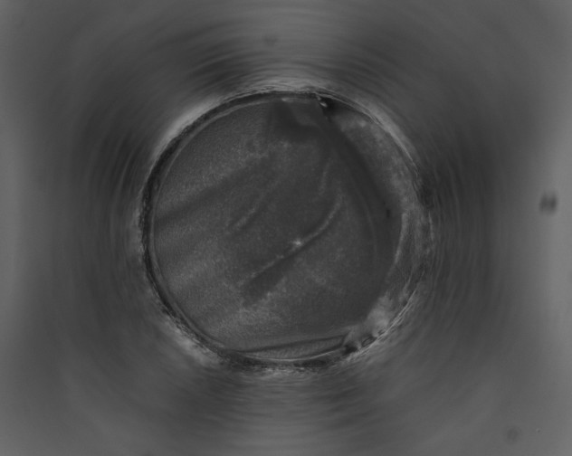 X0000089921026200707131406