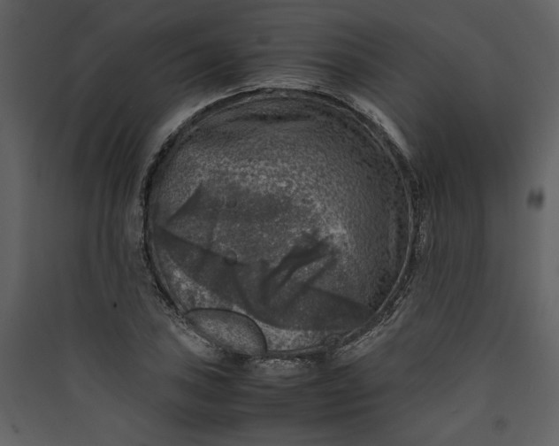X0000089921027200707131406