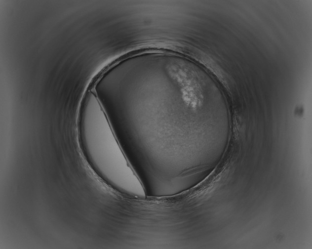 X0000089921028200707131406