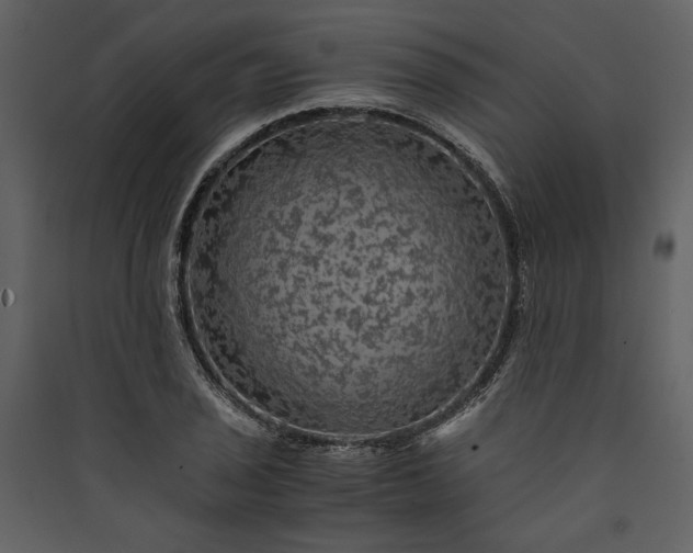 X0000089921029200707131406