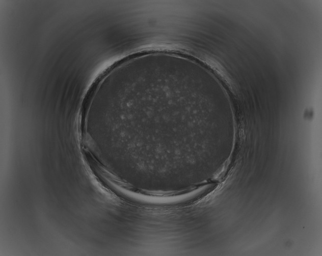 X0000089921030200707131406