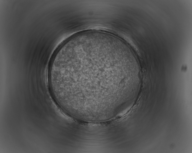 X0000089921032200707131406