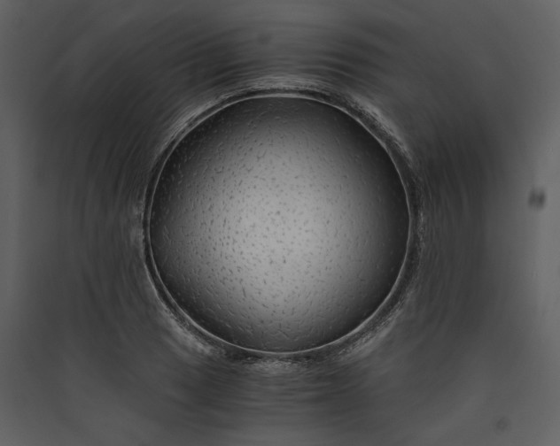X0000089921033200707131406