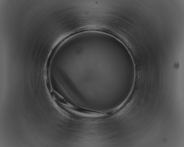 X0000089921034200707131406