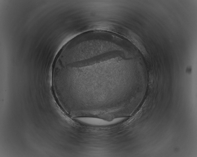 X0000089921036200707131406