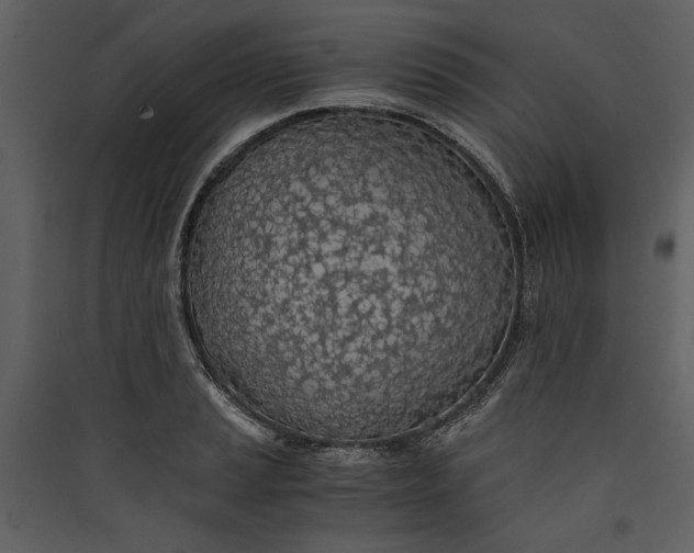 X0000089921037200707131406