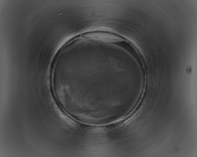 X0000089921038200707131406