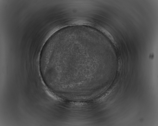 X0000089921039200707131406