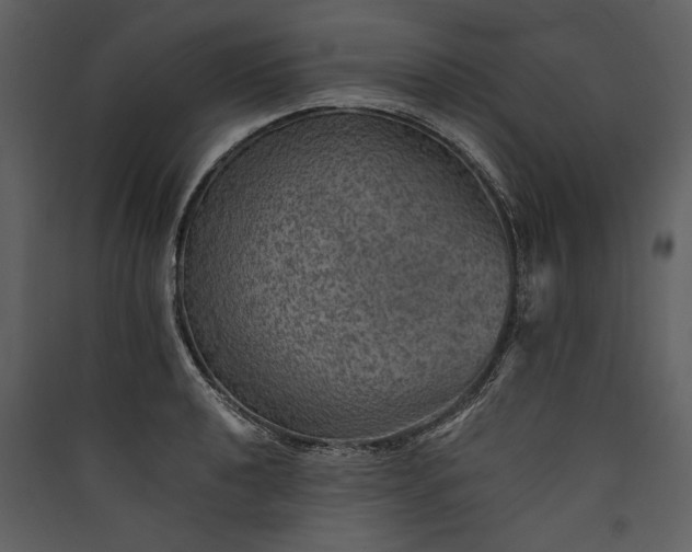 X0000089921040200707131406