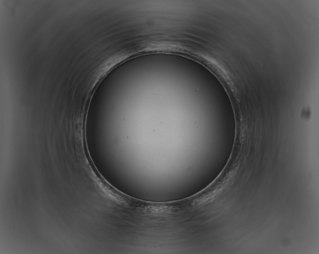 X0000089921041200707131406