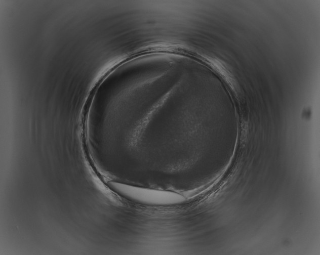 X0000089921042200707131406