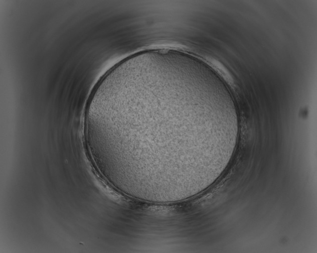 X0000089921044200707131406