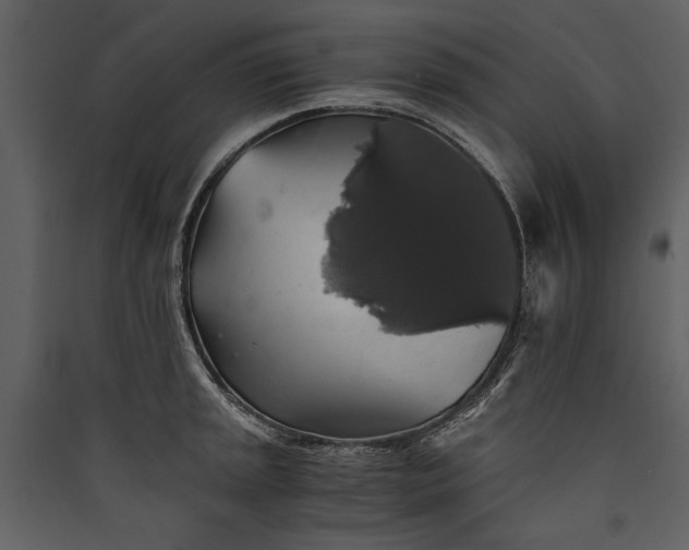 X0000089921045200707131406