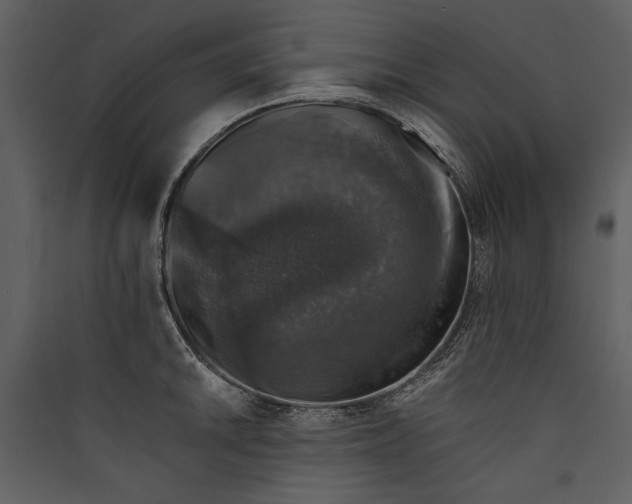 X0000089921046200707131406