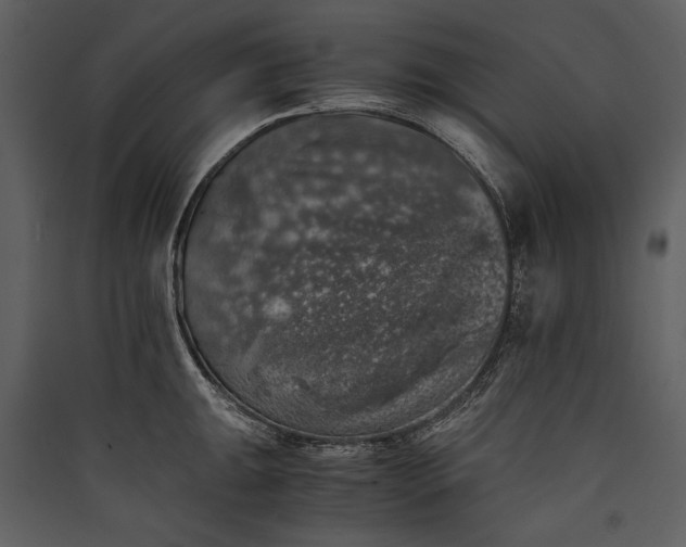 X0000089921047200707131406