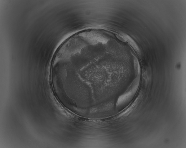 X0000089921052200707131406