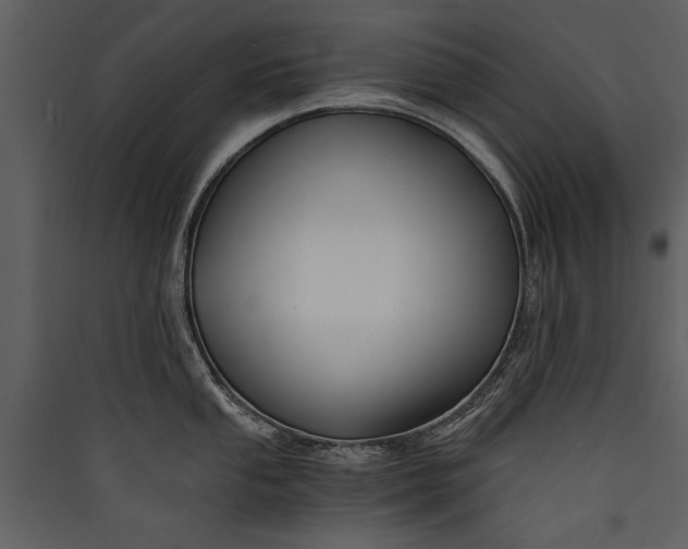 X0000089921053200707131406