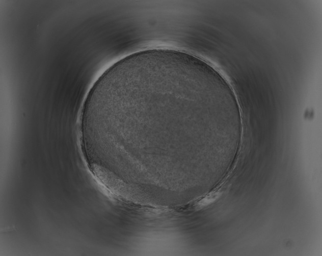 X0000089921056200707131406