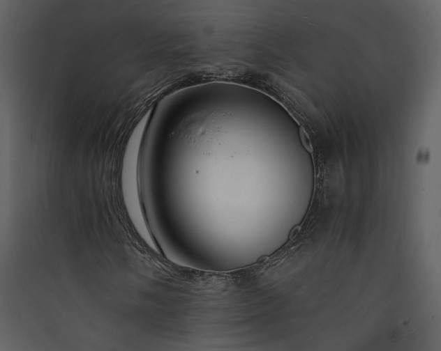 X0000089921058200707131406