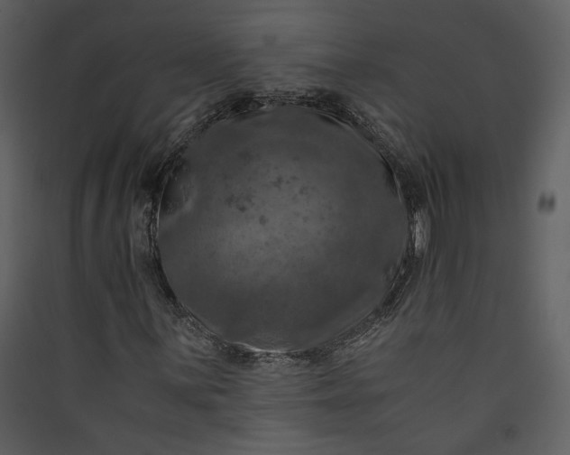 X0000089921059200707131406