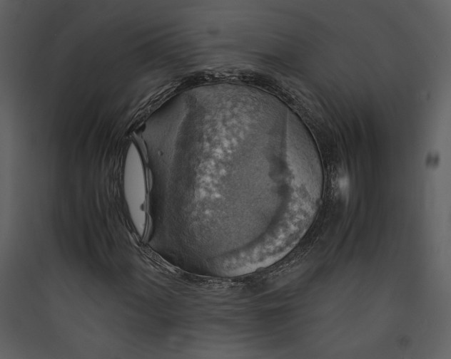 X0000089921060200707131406