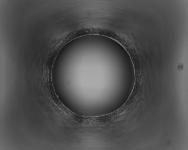 X0000089921061200707131406