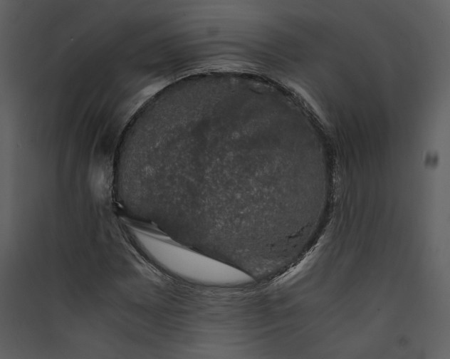 X0000089921065200707131405