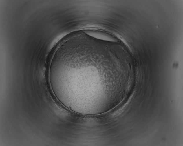 X0000089921066200707131405