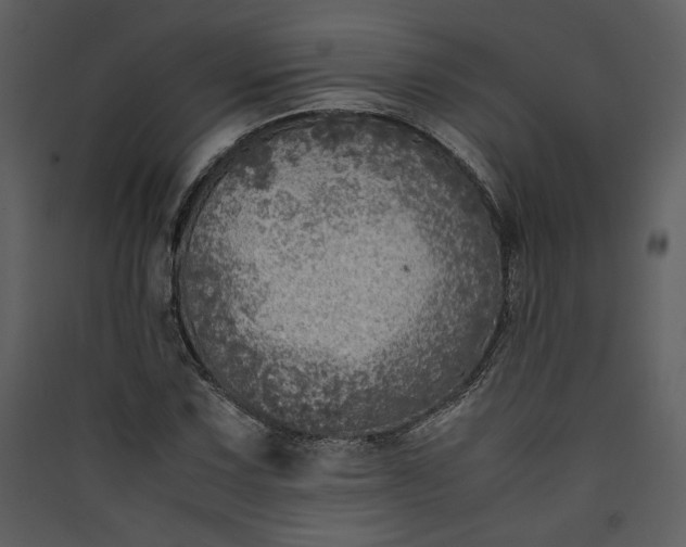 X0000089921067200707131405