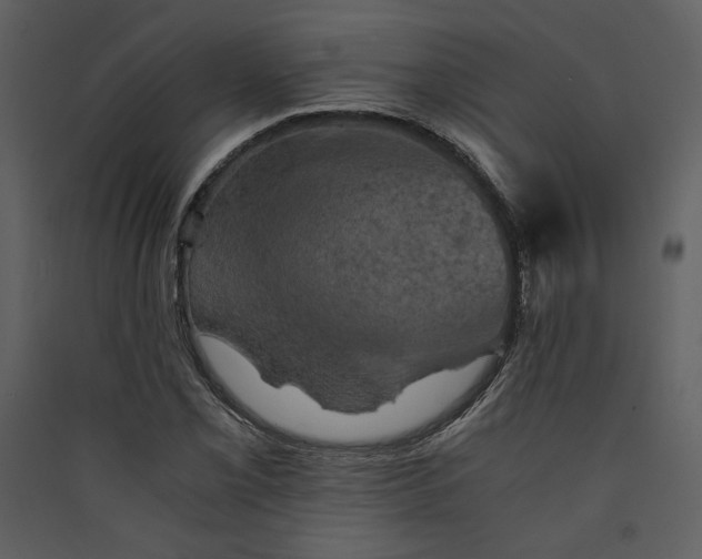X0000089921069200707131405