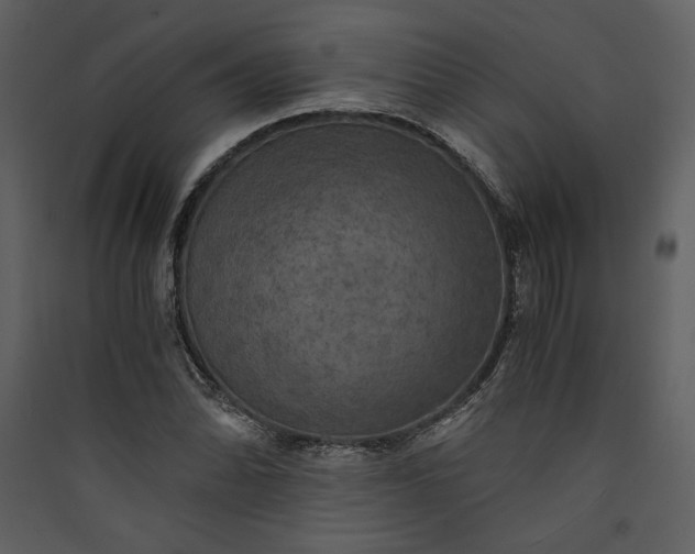 X0000089921070200707131405