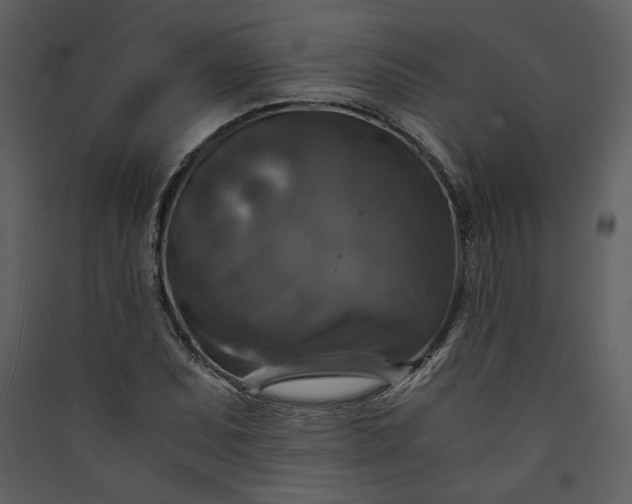 X0000089921071200707131405