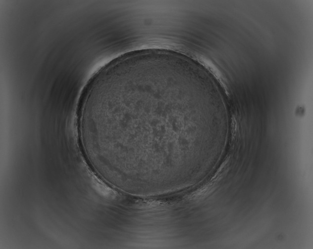 X0000089921072200707131405