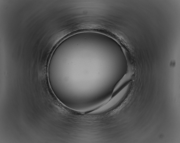 X0000089921073200707131405