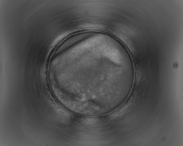X0000089921074200707131405
