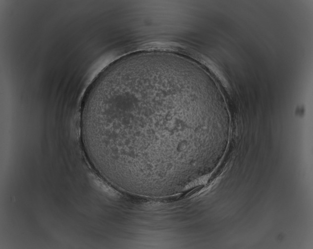 X0000089921075200707131405