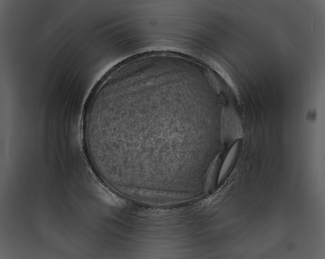 X0000089921076200707131405