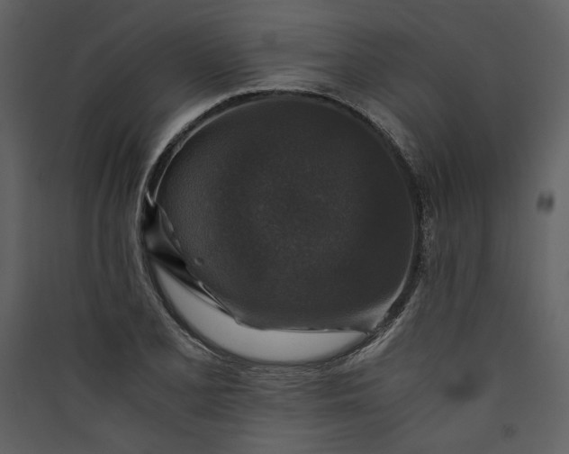 X0000089921077200707131405
