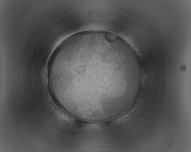 X0000089921078200707131405