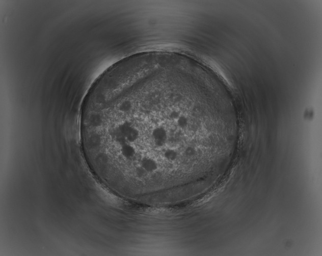 X0000089921079200707131405