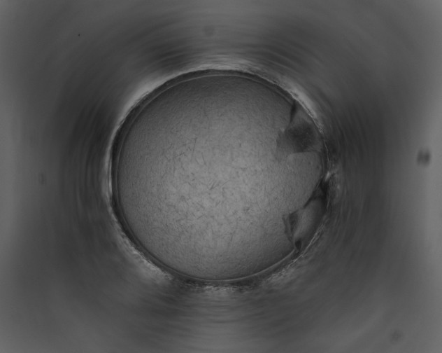 X0000089921080200707131405