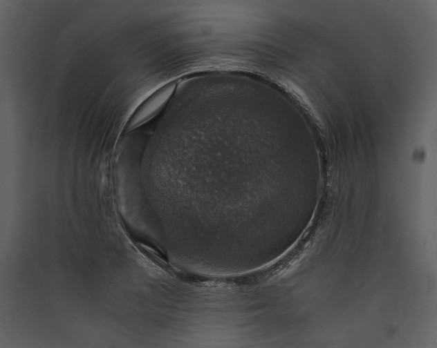 X0000089921081200707131405