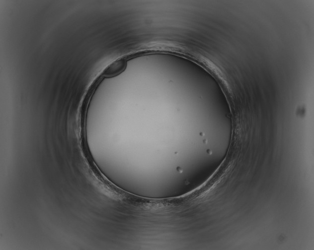 X0000089921082200707131405