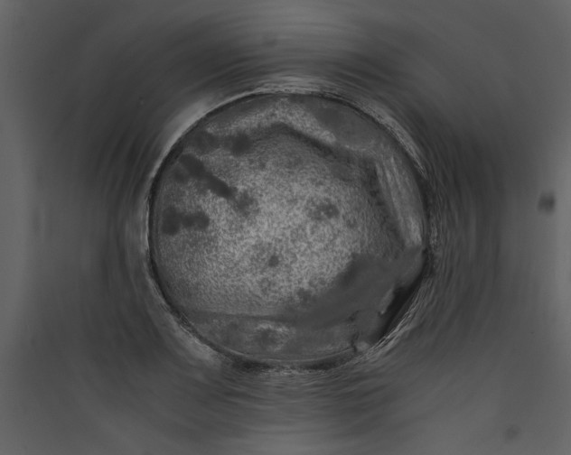 X0000089921083200707131405