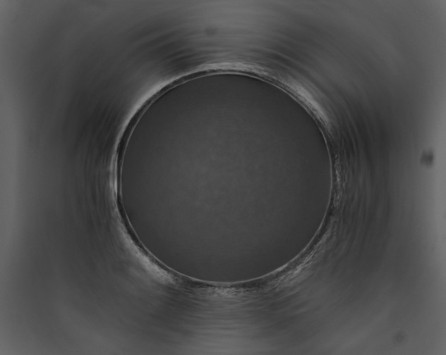 X0000089921084200707131405
