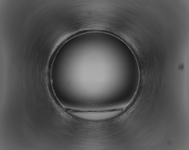 X0000089921085200707131405