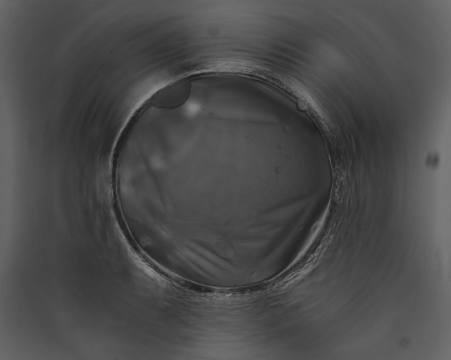 X0000089921087200707131405