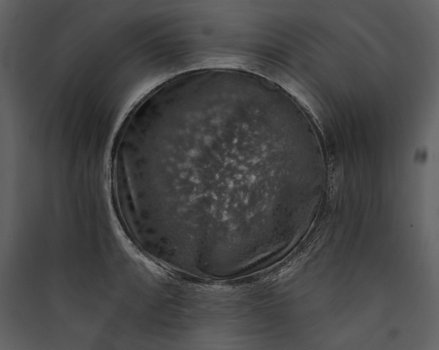 X0000089921088200707131405